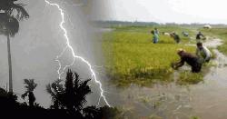 বজ্রপাতে ছয় জেলায় ১২ জনের মৃত্যু, সুনামগঞ্জেই ৫