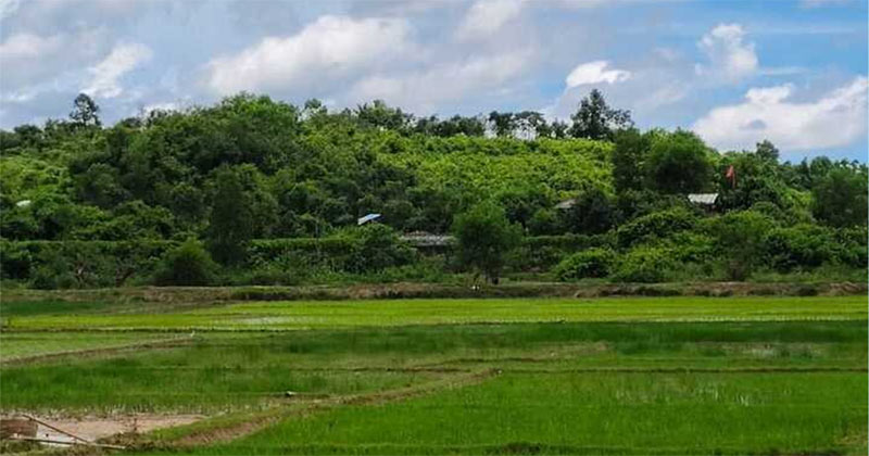 ফাইল ছবি