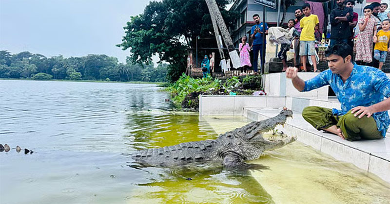 বাগেরহাটের খানজাহান আলী (রহ.)-এর মাজারসংলগ্ন দিঘিতে এখন টিকে আছে মাত্র একটি কুমির : ফাইল ছবি