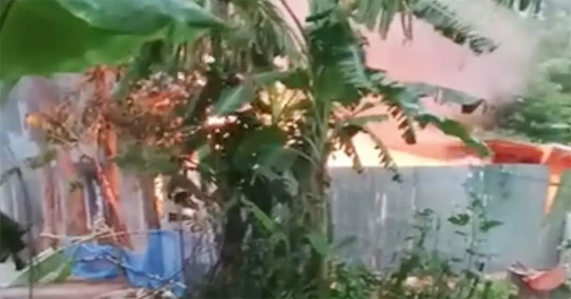 সংগৃহীত ছবি