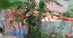 পাবনায় ধর্ষণ-হত্যার জেরে অভিযুক্তের বাড়িতে অগ্নিসংযোগ, নিহত ৩