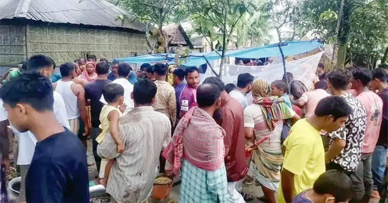 সংগৃহীত ছবি