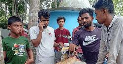 নড়াইলে পুকুরে ডুবে দুই ভাইয়ের মর্মান্তিক মৃত্যু