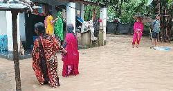 শেরপুরে তিন নদীর পানি বিপৎসীমার ওপরে, নিম্নাঞ্চলে বন্যার শঙ্কা