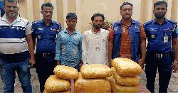 কিশোরগঞ্জে ১৫ কেজি গাঁজাসহ শ্যালক-দুলাভাই আটক