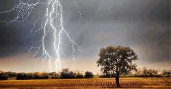হাওরে বজ্রপাতে দুই ভাইসহ তিনজন নিহত