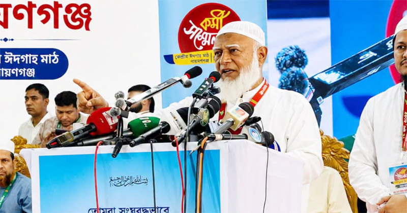 সংগৃহীত ছবি
