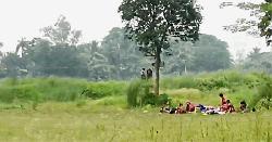 চাঁপাইনবাবগঞ্জ সীমান্তে ২০ জনকে পুশ-ইনের চেষ্টা, থামিয়ে দিলো বিজিবি