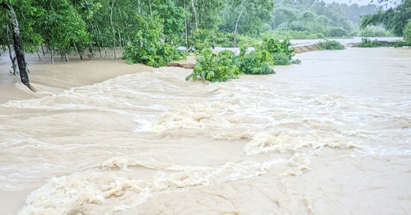 ফাইল ছবি