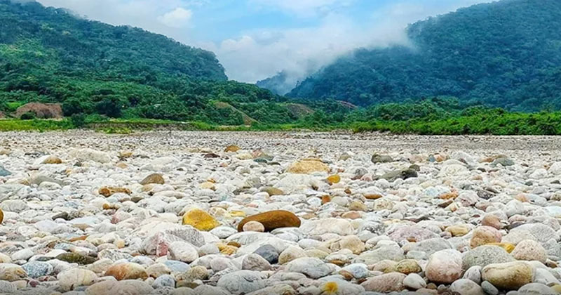 ফাইল ছবি