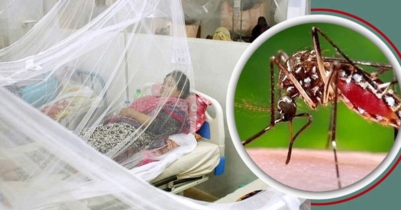 ডেঙ্গুতে আরও ৫ জনের মৃত্যু, চলতি বছরে প্রাণহানি ১৮