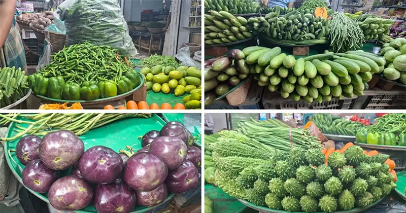 টানা বৃষ্টিতে সবজির দামে সেঞ্চুরি, কাঁচা মরিচ ২৪০ টাকা কেজি
