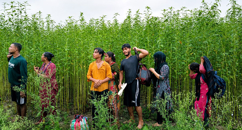 কুষ্টিয়ার দৌলতপুর সীমান্ত দিয়ে ভারতীয় সীমান্তরক্ষী বাহিনীর আটজনকে বাংলাদেশে পুশ ইনের চেষ্টা।