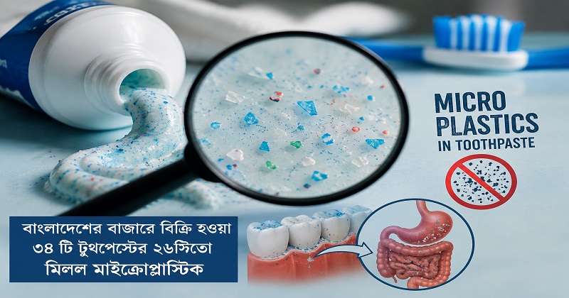 দেশে পাওয়া ৩৪টি টুথপেস্টের ২৬টিতেই মিলেছে মাইক্রোপ্লাস্টিক