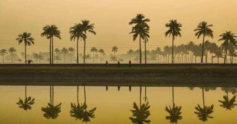 সংগৃহীত ছবি