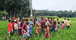 ট্রান্সফরমার খুলতে গিয়ে বিদ্যুৎস্পৃষ্ট, ধানখেতে মিলল যুবকের মরদেহ