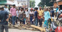 ঝিনাইদহে সারের দাবিতে সড়ক অবরোধ করে বিক্ষোভ
