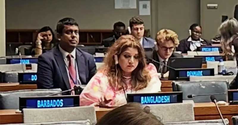 পররাষ্ট্র প্রতিমন্ত্রী শামা ওবায়েদ ইসলাম। ছবি: সংগৃহীত