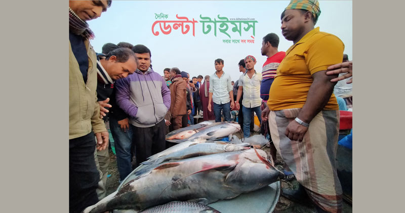 কালীগঞ্জের বিনিরাইলে শীতকালীন ও জামাইদের মাছের মেলা